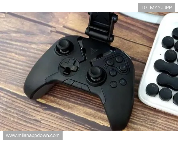 博鱼中国官网最新版本上线,全面优化游戏体验与用户界面提升用户满意度